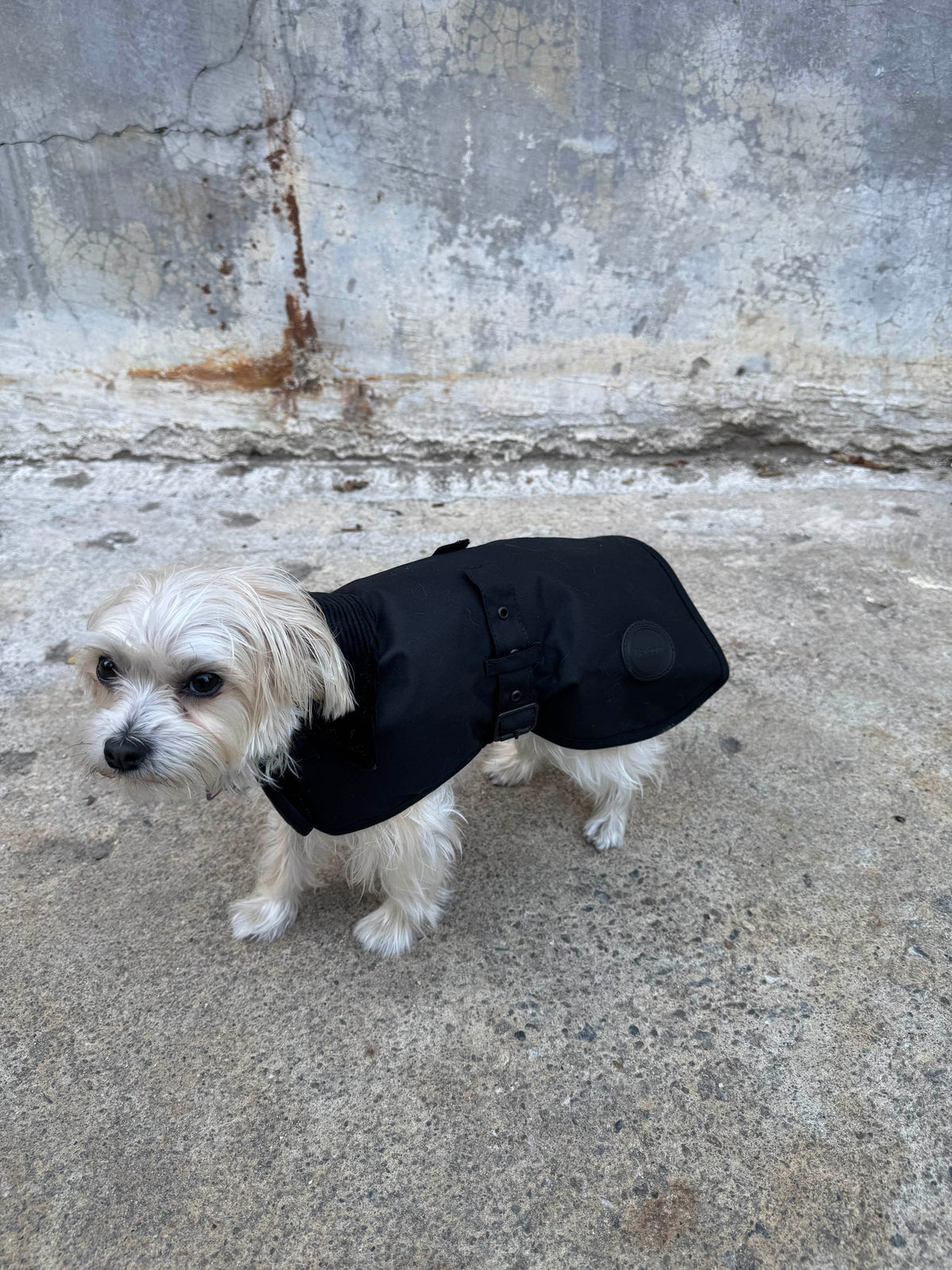 Barbour Slykoil Waxed Dog Coat  Black